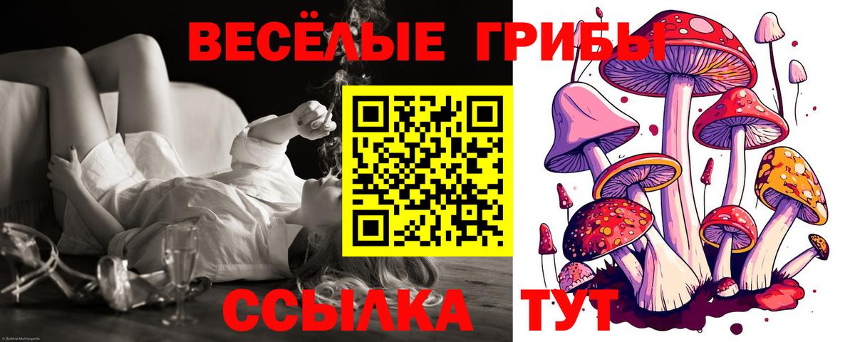 Псилоцибиновые грибы MAGIC MUSHROOMS Рославль