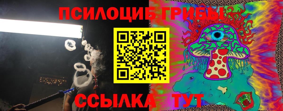 дарнет шоп  Вход с VPN  Псилоцибиновые грибы Psilocybine cubensis  Рославль  Псилоцибиновые грибы Cubensis 